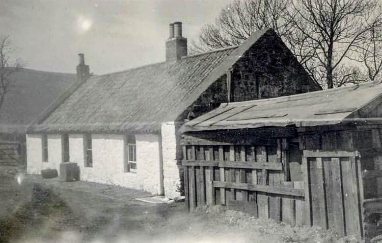 Old Saline & Steelend 30